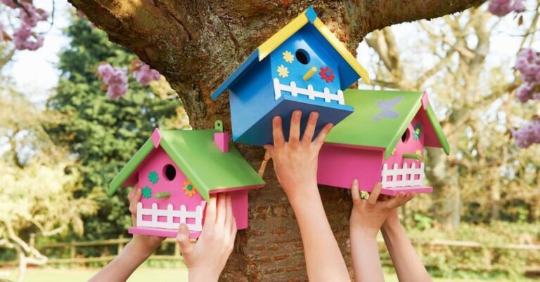 Bird House Painting Ideas
